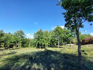 Visignano: terreno edificabile (3.337 m²) e agricolo (10.057 m²)!