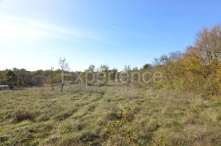 Bačva, terreno agricolo 6.118 m² con strada d’accesso