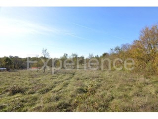 Bačva, terreno agricolo 15.338 m² con strada d’accesso