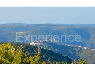 Motovun, tenuta 44.000 m² con terreno edificabile e vista