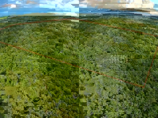 Kaštelir - foresta, superficie di 40.774 m²