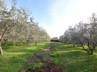 Kaštelir - terreno edificabile, superficie di 817 m²!