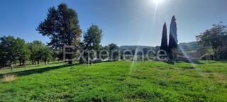 Vicino a Montona - in un ambiente idilliaco, terreno edificabile!