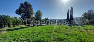 Vicino a Montona - in un ambiente idilliaco, terreno edificabile!