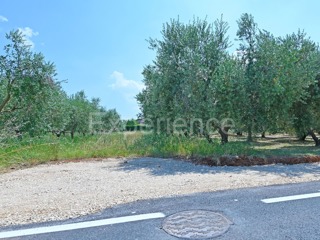 Kaštelir - terreno edificabile, superficie di 1.165 m²!