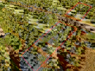 Vendita di terreno agricolo con ulivi secolari a Vabriga