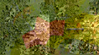 ISTRIA, Montona - terreno agricolo adiacente alla zona edificabile, VISTA SU MONTONA!