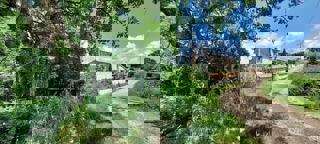 Nelle vicinanze di Sveti Lovreč - terreno edificabile con casa in pietra!