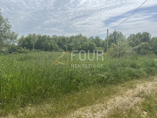 Svetvinčenat, 980m2