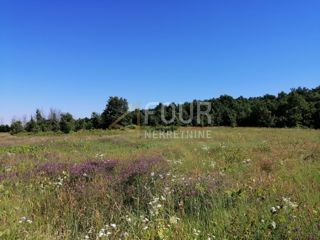 Sveti Lovreč, 21.460m2