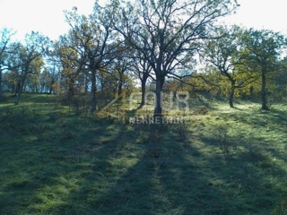 Krasica, Bakar, 7.768,76m2