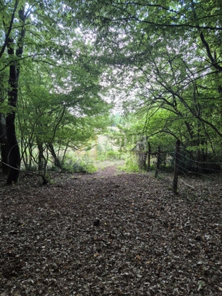 Kaštelir, Kaštelir-Labinci, 24.118m2