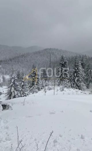 Stari Laz, Ravna Gora, 2.537m2