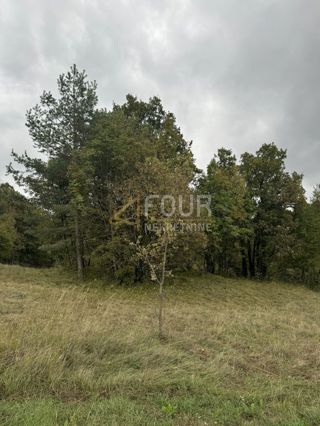 Rupa, Matulji, 5.021m2