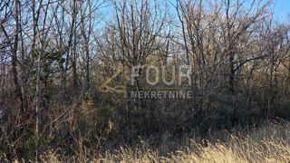 Kornić, Krk, 9.848m2