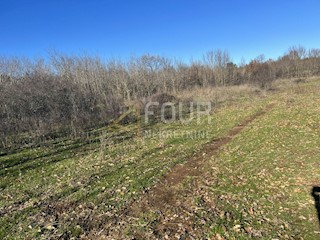 Barban, 970m2