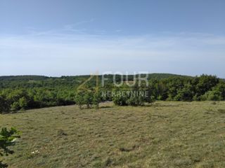 Višnjan, 38.900m2