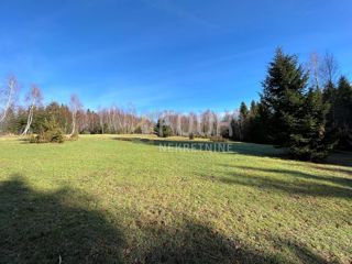 Ravna Gora, 12.519m2