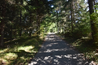 Tršće, Čabar, 250m2