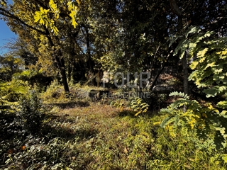 Opatija - Centar, Opatija, 994m2