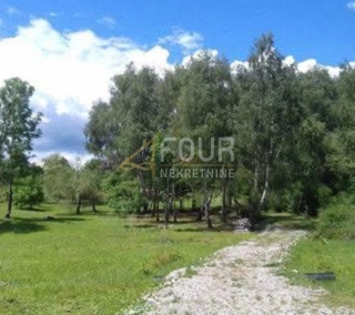 Kupjak, Ravna Gora, 6.111m2