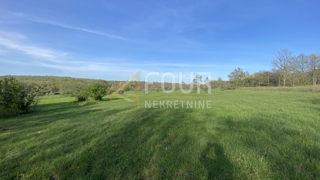 Istria, Kanfanar, terreno agricolo, 13.301m2