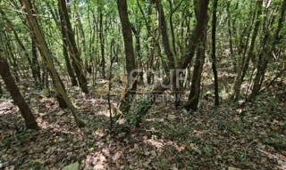 Istria, Marčana - zona circostante, terreno agricolo