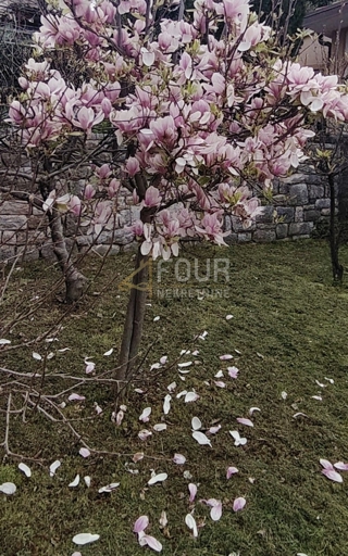 Fiume, Pehlin, casa indipendente - solo da noi!