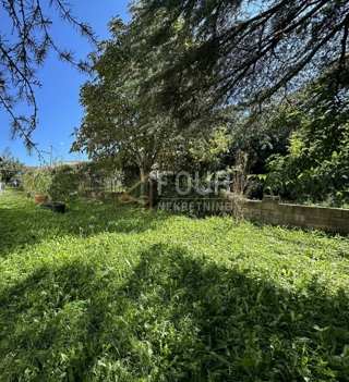 Mušalež, Poreč, 750m2