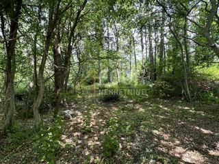 Risika, Vrbnik, 1.356m2