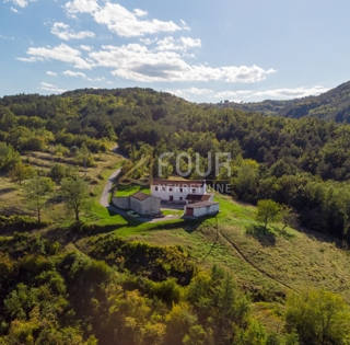 Istria, Boljun, grande proprietà con casa in pietra – SOLO DA NOI!