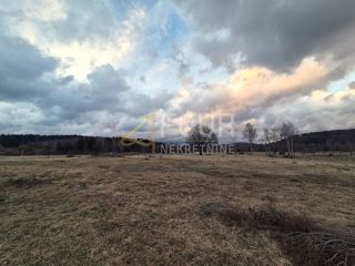 Kupjak, Ravna Gora, 22.591m2