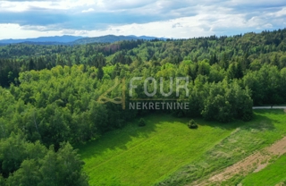 Ravna Gora, 6.301m2