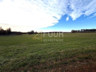 Istria, Parenzo - zona circostante, terreno agricolo