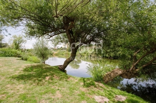 Karlovac - zona circostante, bellissima proprietà vicino alla Korana