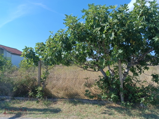 ZADAR - POLIČNIK, TERRENO EDIFICABILE 1189 M2, VENDITA, PROGETTI, PERMESSO, OCCASIONE!!