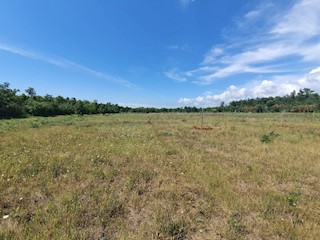 Terreno agricolo Istria