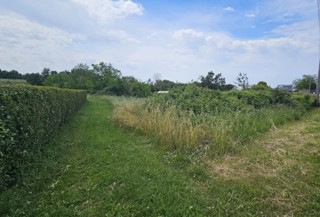 Terreno edificabile in vedita a Kaštelir