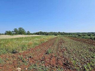 Terreno edificabile vicino a Parenzo