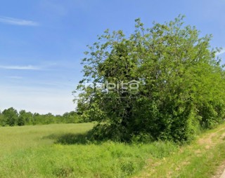 Zona Parenzo - Terreno edificabile a 7 km dal mare