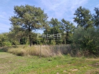 OPPORTUNITÀ DI INVESTIMENTO: Attraente terreno vicino a Parenzo