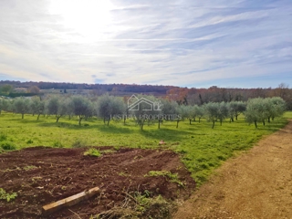 Posizione tranquilla e terreno edificabile adatto per costruire una casa vacanze intima