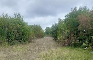 Terreno Nedešćina, Sveta Nedelja, 3.500m2