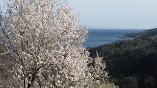 Terreno Sveta Marina, Raša, 457m2