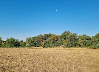 Terreno Nedešćina, Sveta Nedelja, 3.500m2