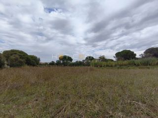 Terreno Fažana, 2.400m2