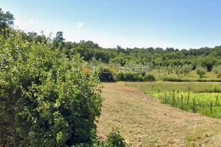 Terreno a Šegotići, posizione tranquilla, elettricità sul lotto