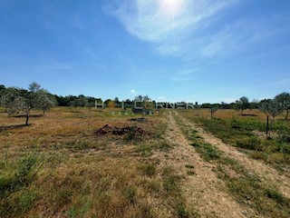 Terreno Vodnjan, 9.900m2