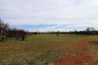 Terreno Valtura, Ližnjan, 11.000m2