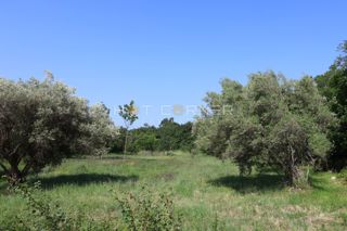 Terreno Duga Uvala, Marčana, 1.200m2